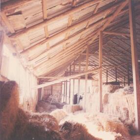Photograph, 1978/9