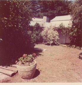 Photograph, 1978/9