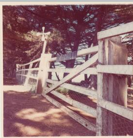Photograph, 1978/9