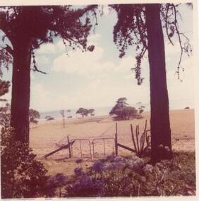 Photograph, 1978/9