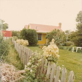 Photograph, 1978/79