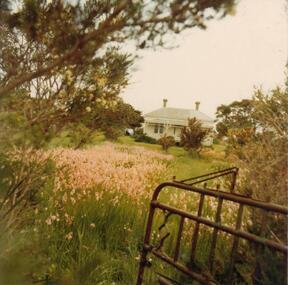 Photograph, 1978/79