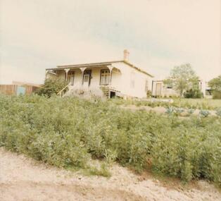 Photograph, 1978/79