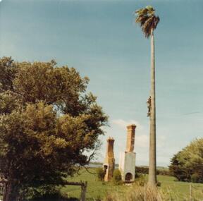Photograph, 1978/79