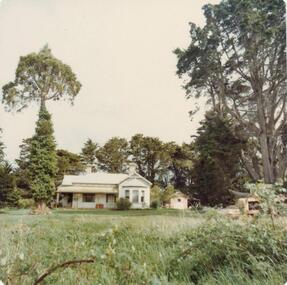 Photograph, 1978/79