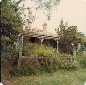 Photograph, 1978/79