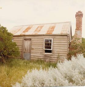 Photograph, 1978 - 79