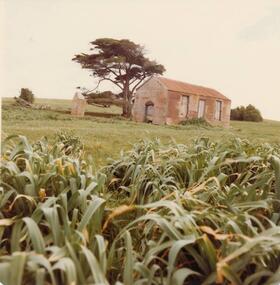 Photograph, 1978 - 79