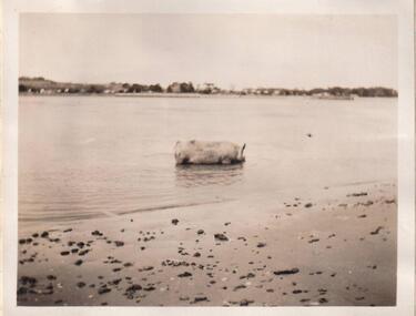 Photograph, 22/03/1938