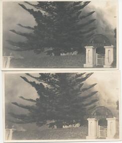 Photograph, 23/04/1925