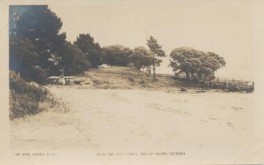 Photograph - Post Card, 1919-1920