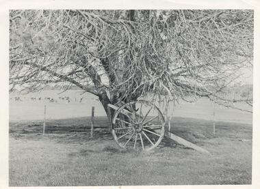 Photograph, Early 19th Century