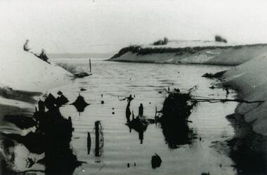Photograph, 1954