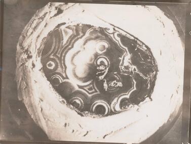 Photograph, 1950