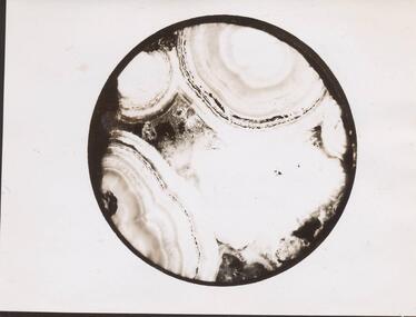 Photograph, 1950