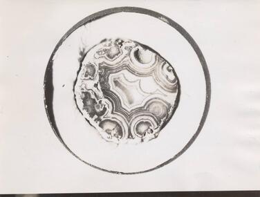 Photograph, 1950