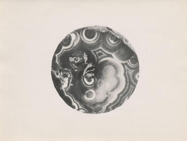 Photograph, 1950