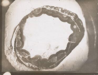 Photograph, 1950