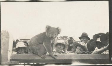 Photograph, Unknown