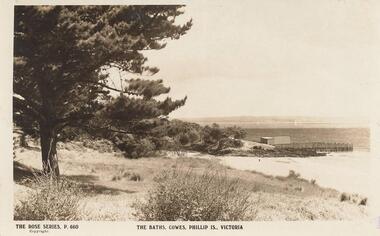 Photograph - Post Card, Early 1900's