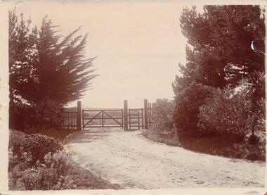 Photograph, Early 1900's