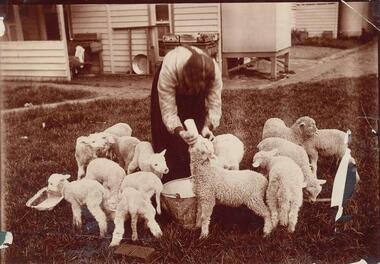 Photograph, Early 1900's