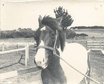 Photograph, 1920-30