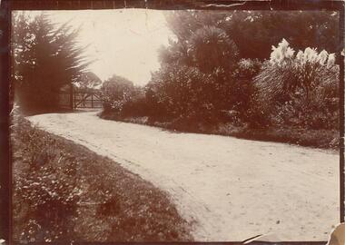 Photograph, Early 1900's