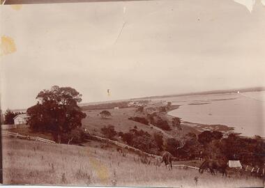 Photograph, Early 1900's