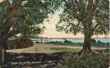Photograph - Post Card, Early 1900's