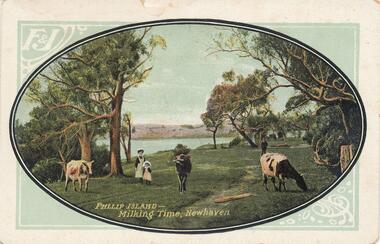 Photograph - Post Card, 1900's