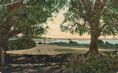 Photograph - Post Card, 1900's