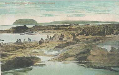 Photograph - Post Card, 1900's