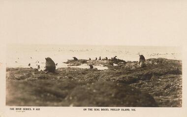 Photograph - Post Card, Early 1900's