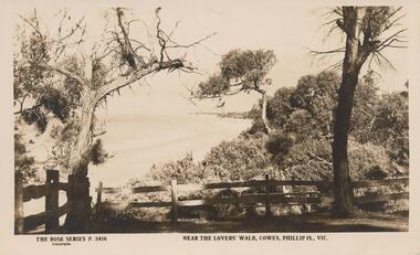 Photograph - Post Card, Early 1900's