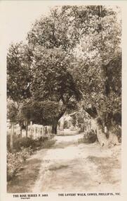 Photograph - Post Card, Early 1900's