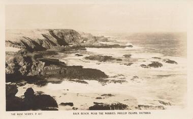 Photograph - Post Card, Early 1900's