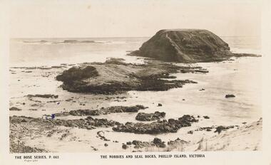 Photograph - Post Card, Early 1900's
