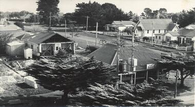 Photograph, 1959