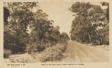 Photograph - Post Card, 1919