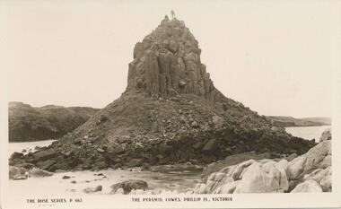 Photograph - Post Card, Early 1900's