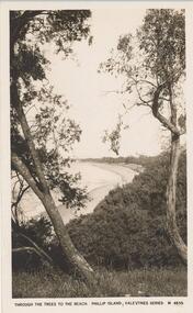 Photograph - Post Card, Early 1900's