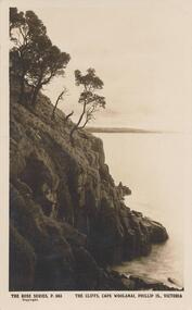 Photograph - Post Card, Early 1900's
