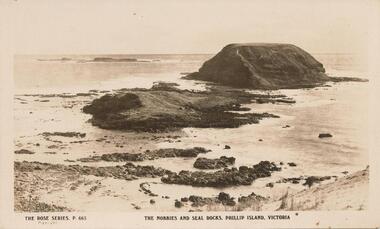 Photograph - Post Card, Early 1900's