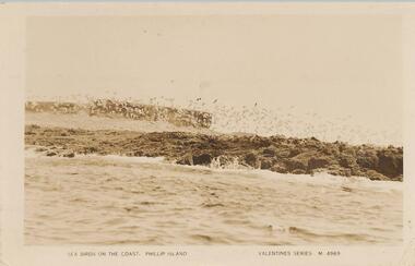 Photograph - Post Card, 1920's