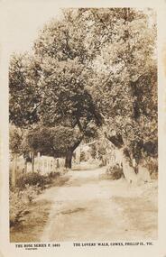 Photograph - Post Card, 1920's