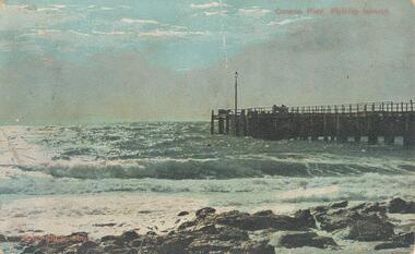 Photograph - Post Card, Early 1900's