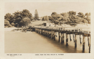 Photograph - Post Card, Early 1900's