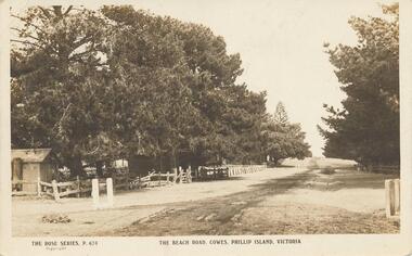 Photograph - Post Card, Early 1900's