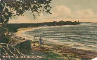Photograph - Post Card, Early 1900's